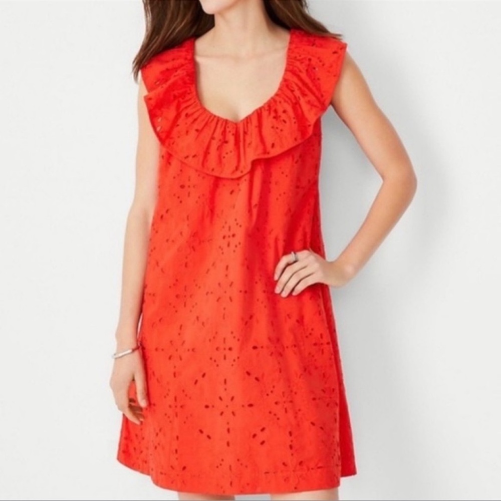 Ann Taylor Eyelet Dress s L